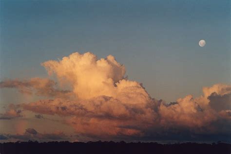 Cumulus Mediocris clouds photographs photography photos pictures clouds ...