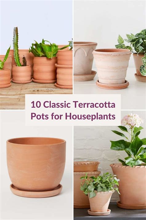 13 Classic Terracotta Pots for Houseplants You'll Love