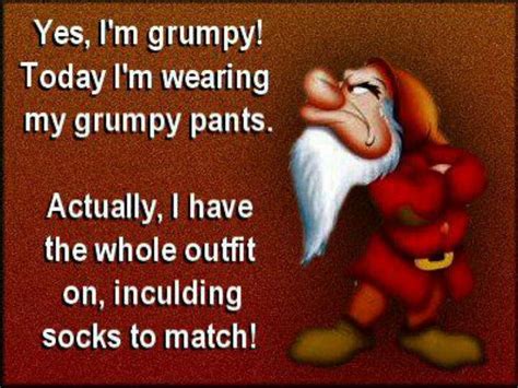 today I am grumpy....This is so Mark! | Grumpy quotes, Grumpy pants, Funny disney shirts