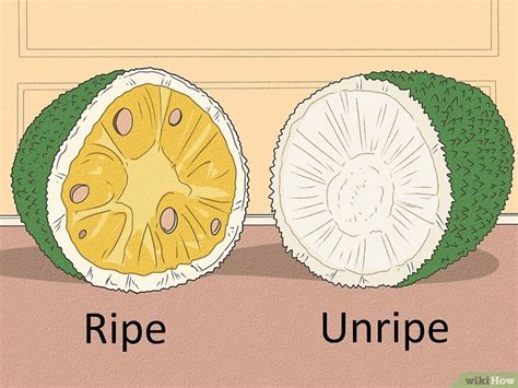 Durian vs. Jackfruit: How Are They Different?