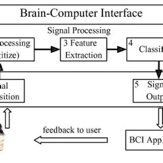 (PDF) THE BRAIN-COMPUTER INTERFACE