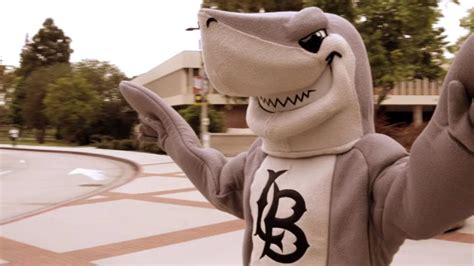 Meet Elbee: Toothy new mascot unveiled at Cal State Long Beach – Press Telegram