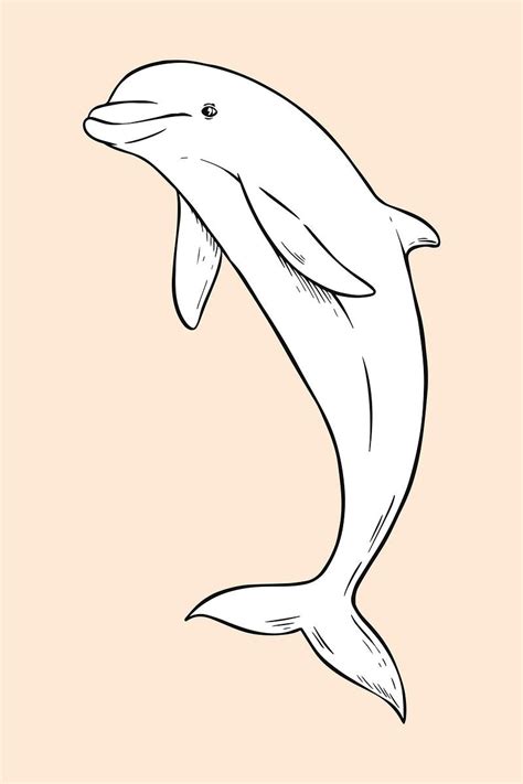 Dolphin Clipart, Dolphin Drawing, White Dolphin, Dolphins Tattoo, Free ...