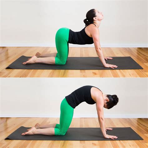 Cat-Cow Pose | Five-Minute Yoga Sequence | POPSUGAR Fitness Photo 3