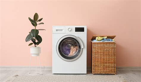 Best Washing Machine 2024 Usage - Venus Silvia