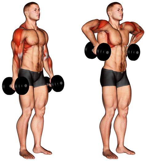 How To Do The Dumbbell Raise – Fitness Volt