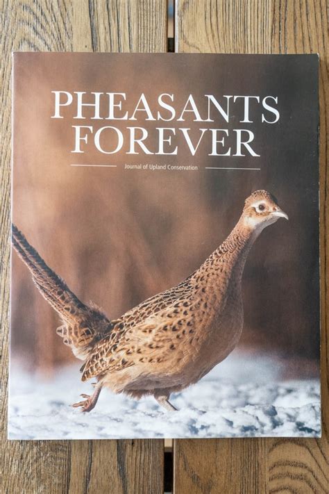 Pheasants Forever - Journal of Upland Conservation | Miles West Creative