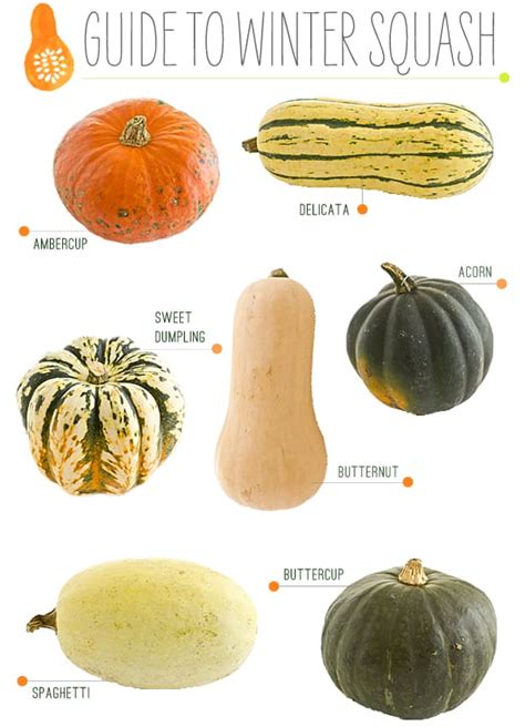 Different Kinds Of Winter Squash