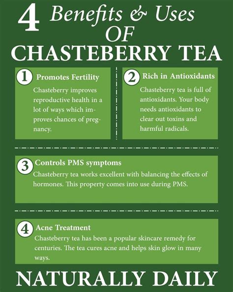 7 Chasteberry Tea Benefits & Uses for Healthy Living | Chasteberry tea, Tea benefits, Chasteberry