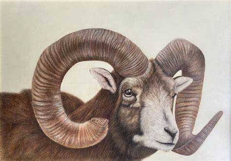 Sheep Painting by Volodymyr Kozhushko - Jose Art Gallery