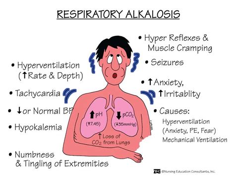 Respiratory Alkalosis | Respiratory alkalosis, Nursing mnemonics, Nurse ...