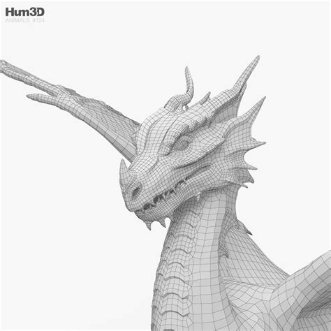 European Dragon 3D model - Animals on Hum3D