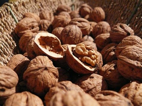 Free Images : food, produce, brown, nut, healthy, eat, shell, walnut, nutrition, vitamins ...