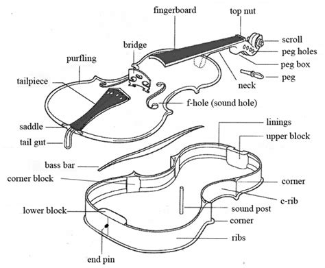 Fiddle talk - VIOLIN DISCUSSION FORUM - Playing the violin | LEARN TO PLAY THE VIOLIN FOR FREE!