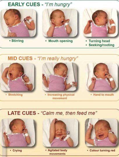 Hunger cues chart | Baby care tips, Baby crying, Baby signs