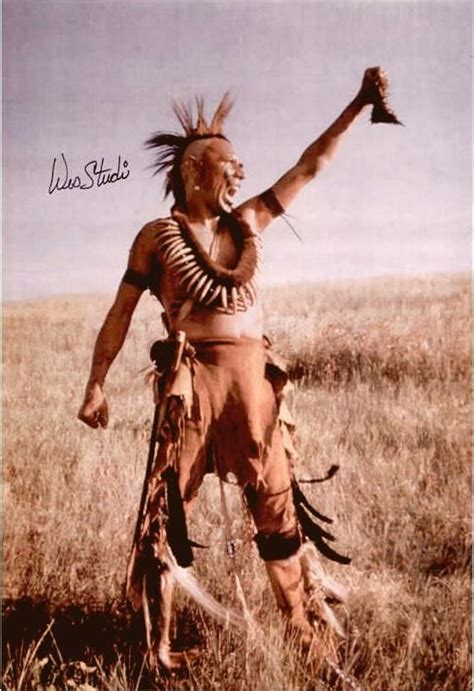 Wes Studi | Dances with Wolves (1990) | Коренные индейцы, Индейские символы, История коренных ...