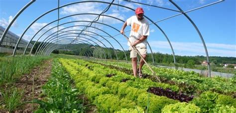 Possibilities of Improving Organic Farming in Turkey
