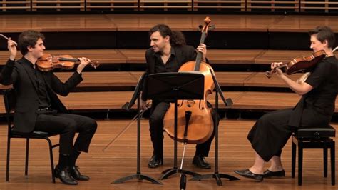 Video recording: Trio for Violin, Viola and Cello Relationships ...