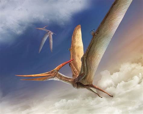 Pteranodon by Vlad Konstantinov | Prehistoric animals, Prehistoric creatures, Dinosaur