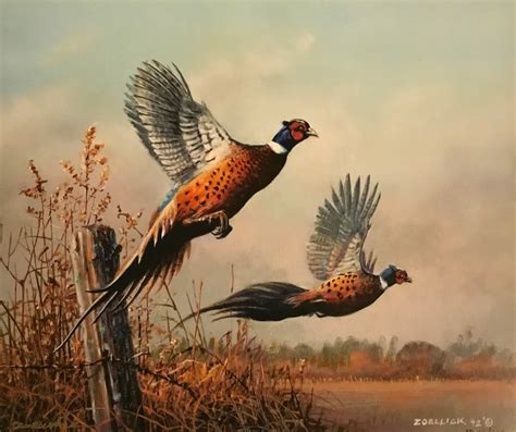 Pheasant Flying Art