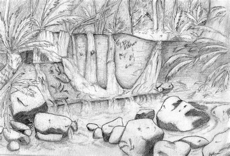 rainforest sketch by norxwax on DeviantArt