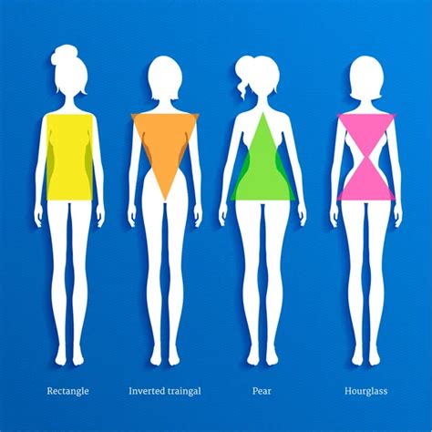 Female body types — Stock Vector © OlgaSuslO #64007657