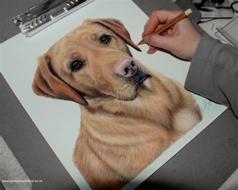 Colored Pencil Drawings Animals