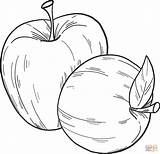 Two Apples coloring Page  Free Printable Coloring Pages sketch template