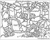Forest Habitat Coloring Pages At GetColoringscom  Free Printable sketch template