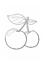 Malvorlage  Frucht ausmalbilder Kcteg sketch template