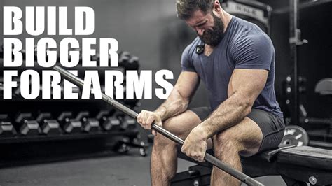 How To Build BIGGER FOREARMS (6 INTENSE EXERCISES!) - YouTube