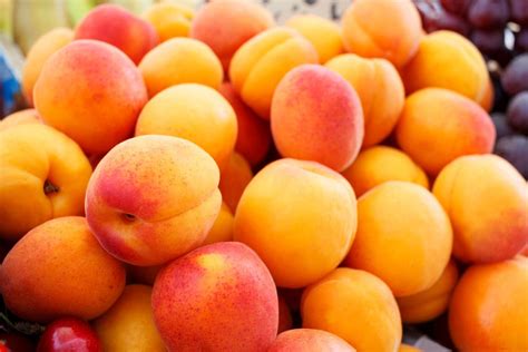 whats-the-difference-between-peaches-and-apricots-311325_1024x1024.jpg ...