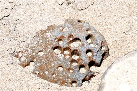 Rock With Holes Free Stock Photo - Public Domain Pictures