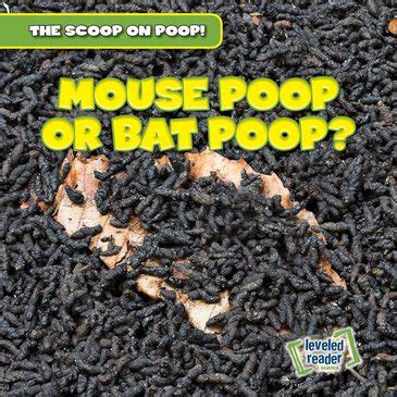 Mouse Poop or Bat Poop? | Gareth Stevens