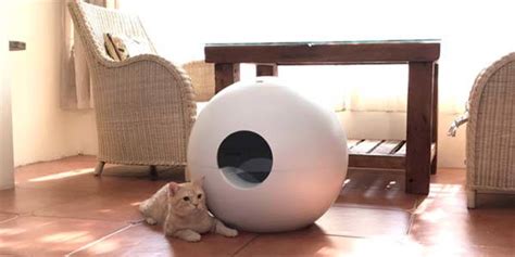 Janar Spherical Cat House and Litter Box with Spray Box | Gadgetsin