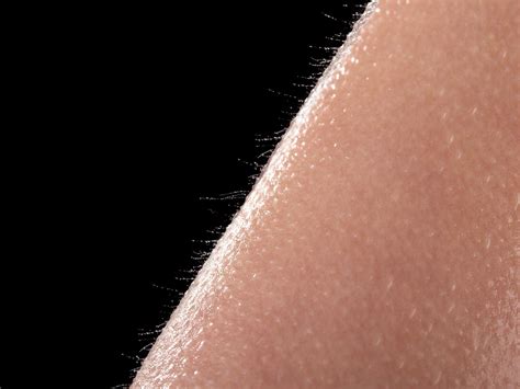 Scientists create artificial skin that feels things humans can’t | The ...