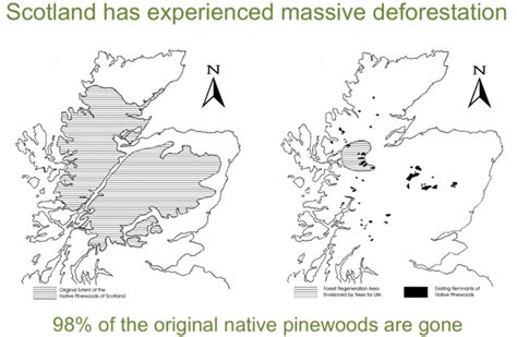 Reforesting the Glens of Scotland