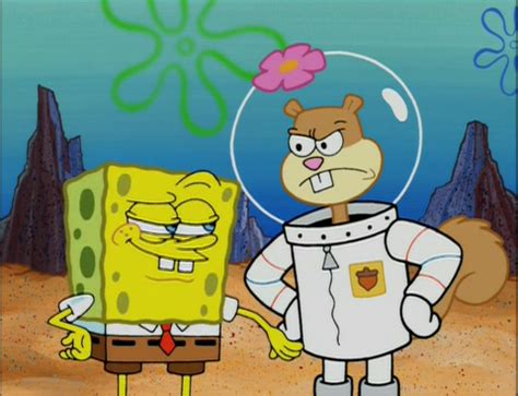 SpongeBuddy Mania - SpongeBob Episode - Karate Island