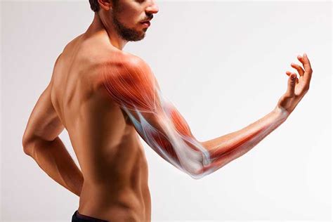 Biceps or Triceps Strain Symptoms and Treatment | BioSkin Bracing