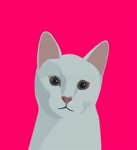 Cute White Cat Portrait on Pink Background Stock Vector - Illustration ...