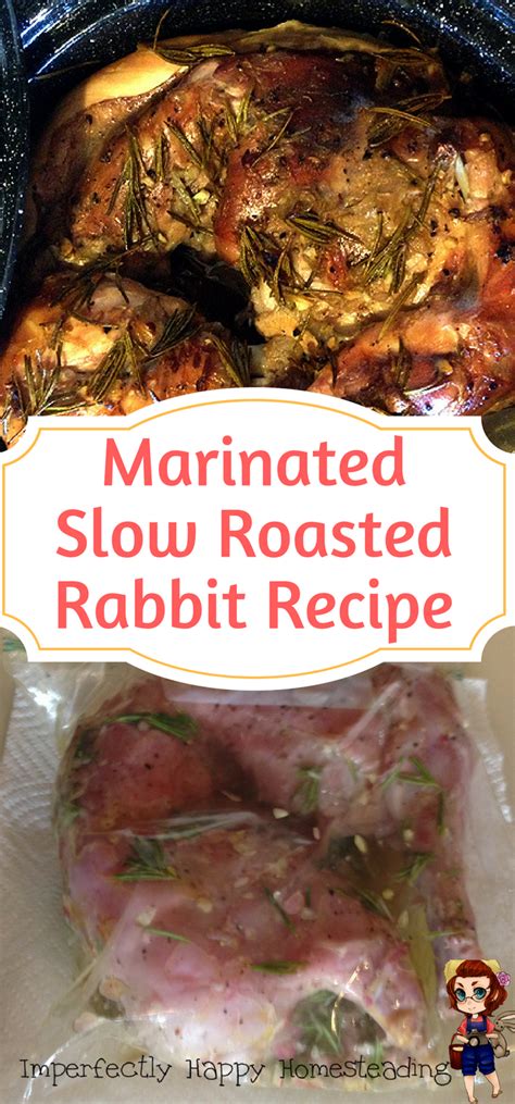 Slow Roasted Rabbit in the Sun Oven - the Imperfectly Happy home | Easy rabbit recipe, Roasted ...