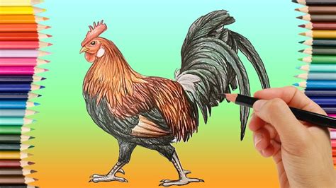 Rooster Drawing How To Draw A Rooster Step By Step - vrogue.co
