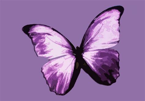 Butterfly Artwork, Butterfly Painting, Purple Butterfly, Birds Painting, Oil Painting, Pop Art ...