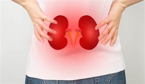 Kidney Infection: What Is, Symptoms, Treatment, and More