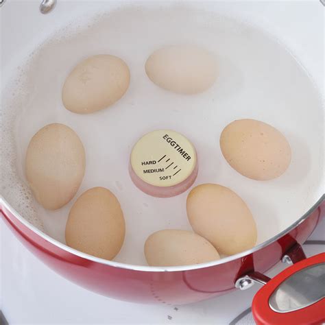 Egg Timer - Premier1Supplies