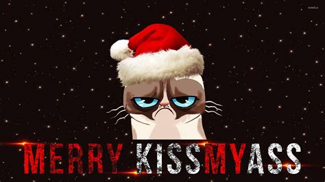 🔥 [46+] Grumpy Cat Christmas Wallpapers | WallpaperSafari