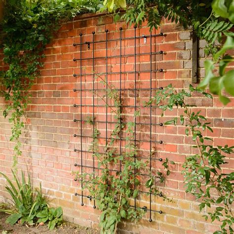 Metal Garden Trellis - Harrod Horticultural | Metal garden trellis, Garden trellis panels, Wall ...