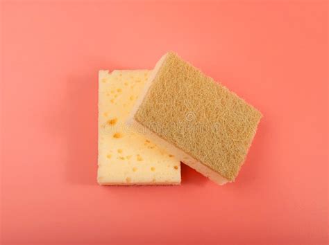Natural Sponge on Pink, Eco Brown Sponges, Eco Friendly Hygiene ...