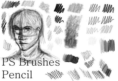 Pencil Brush Photoshop Collection | Photoshop brushes, Ps brushes, Photoshop brushes free