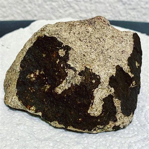 Eucrite NWA 7334 HED Achondrite meteorite - 6×9×10 cm - 390 - Catawiki